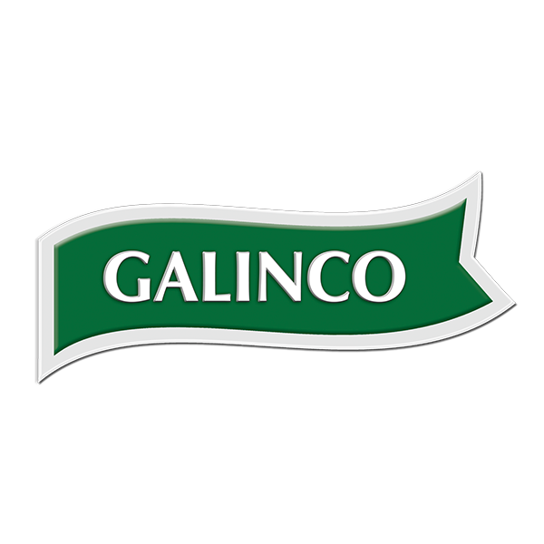 Galinco Logo